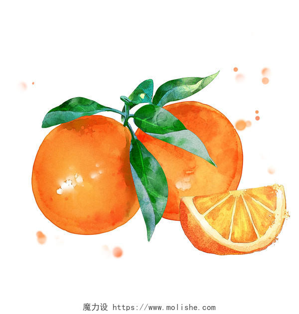 卡通手绘水彩写实水果橙子PNG免抠素材元素水果卡通元素
